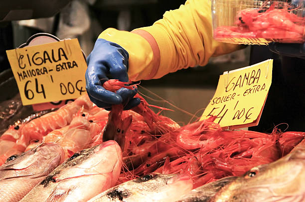 Fresh Prawns stock photo