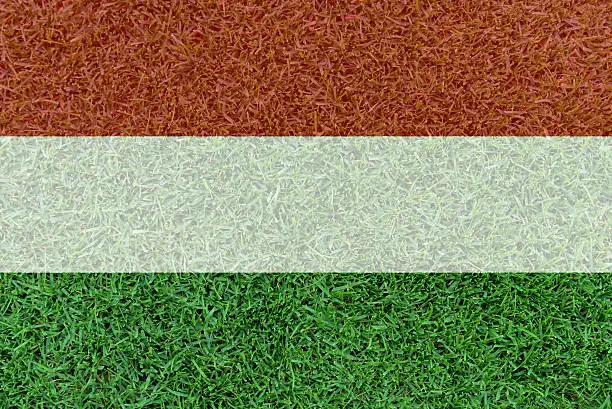 Football field textured by Hungary  national flag on euro 2016