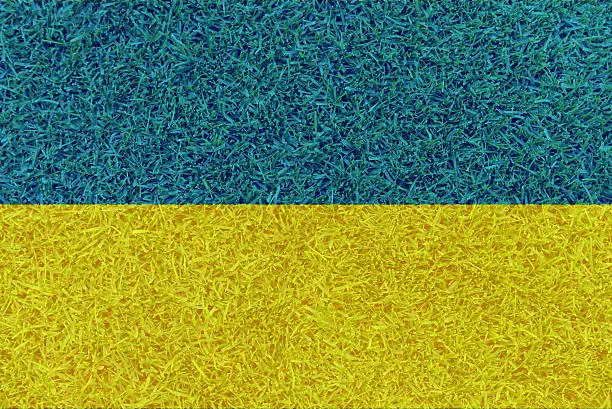 Football field textured by Ukraine national flags on euro 2016