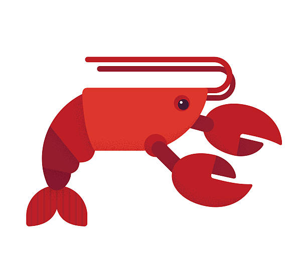 ilustraciones, imágenes clip art, dibujos animados e iconos de stock de rojo langosta medio - lobster