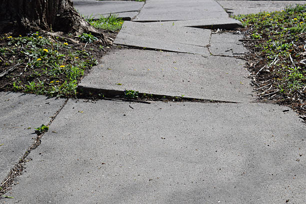 Sidewalk Trouble A sidewalk made uneven by tree roots broken sidewalk stock pictures, royalty-free photos & images