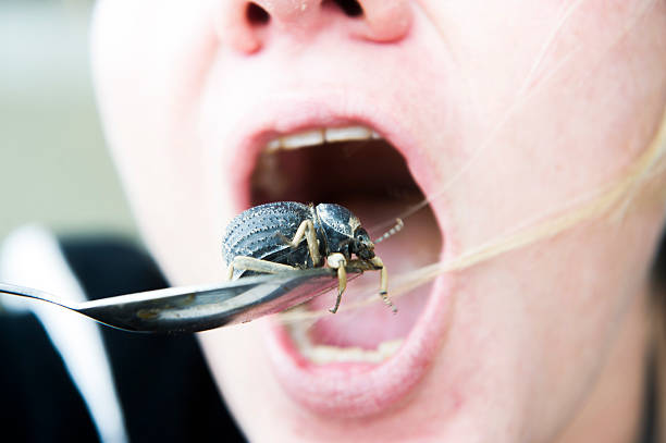 istock Person eating live beetle off a spoon 528915096