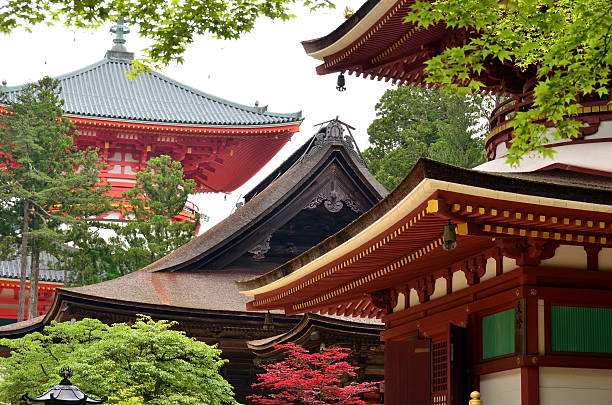Pagodas of Mount Koya stock photo