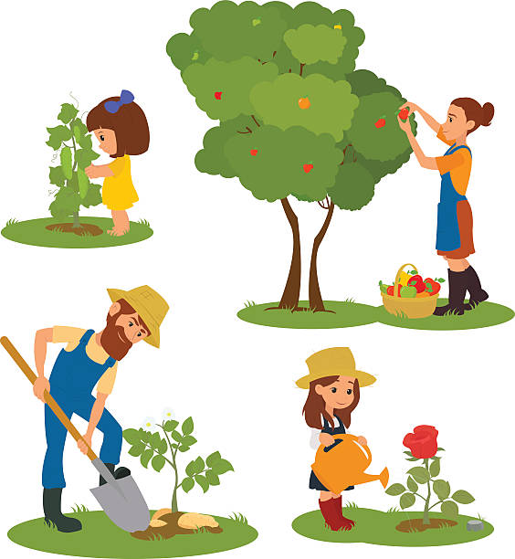 ilustraciones, imágenes clip art, dibujos animados e iconos de stock de adultos y niños implicados en la jardinería - cucumber vegetable plant single flower