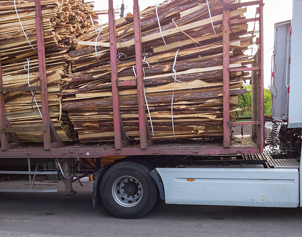 istock Firewood in the car. 528916594