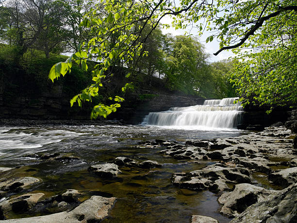 istock Aysgarth Falls - Wensleydale - Yorkshire Dales 528917020