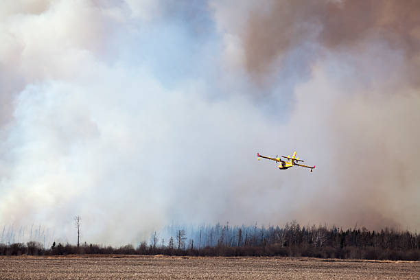 A helicopter flies back to a a forest fire with a bucket of water.