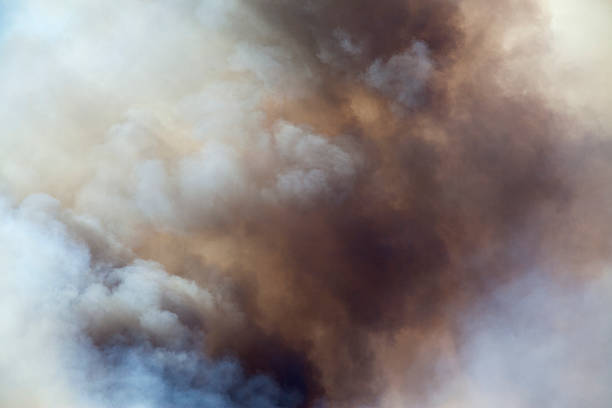 Forest Fire Smoke stock photo