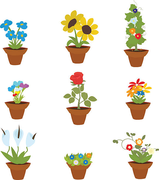 ilustraciones, imágenes clip art, dibujos animados e iconos de stock de flores de primavera en recipientes - daffodil stem yellow spring