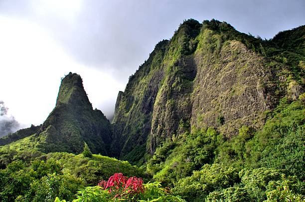 iao nadel valley park, maui, hawaii - tal stock-fotos und bilder