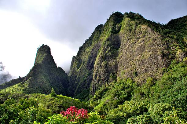 iao needle valley park, maui, hawaii - 山谷 個照片及圖片檔