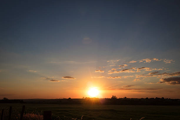 istock Sunset over fileds of sugarcane farm 528919636