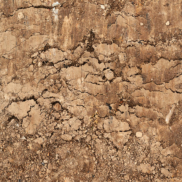 istock Cut of the earth soil 528920590