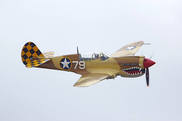 flugzeug fliegen p-40 warhawk - kittyhawk stock-fotos und bilder