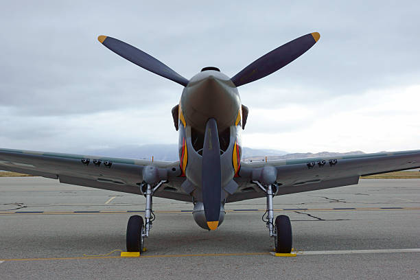 flugzeug p-40 warhawk nase - kittyhawk stock-fotos und bilder