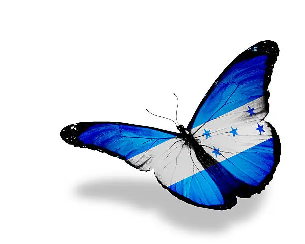 Honduras flag butterfly flying, isolated on white background