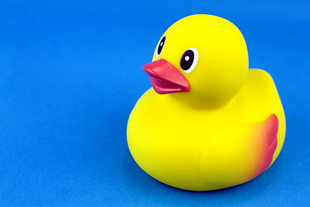 istock Yellow rubber duck on blue background. 528926965