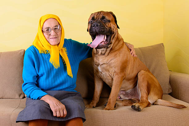 senior woman sitting on the sofa with a big dog