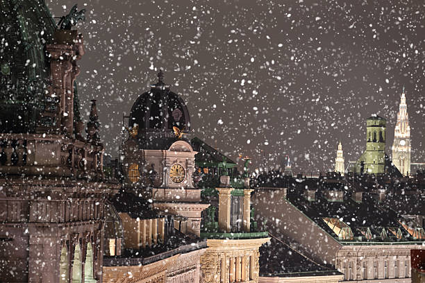 Vienna rooftops cityscape with snow