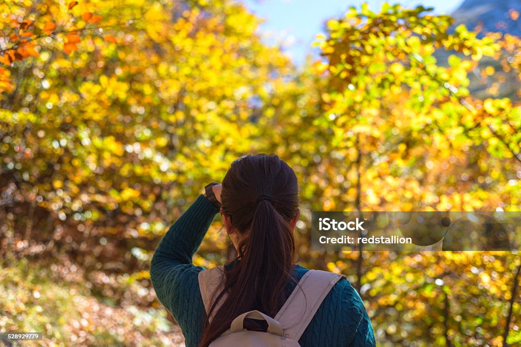 Girl looking into the forest Girl with her back towards the camera looking at the forest . 20-29 Years Stock Photo