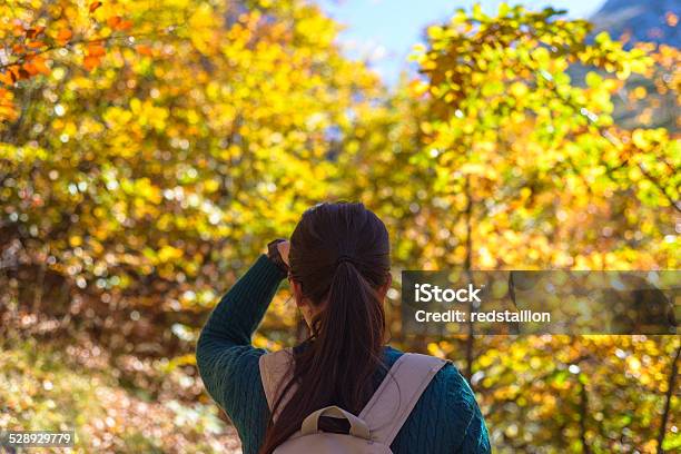 Girl Looking Into The Forest Stock Photo - Download Image Now - 20-29 Years, 30-34 Years, Adult