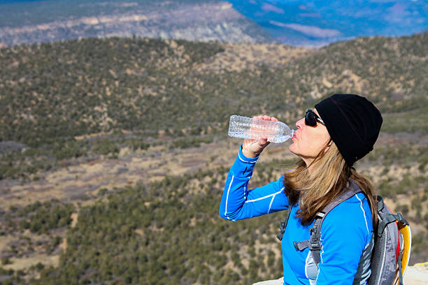 istock Woman Drinking Bottled Water above a Valley 528932695