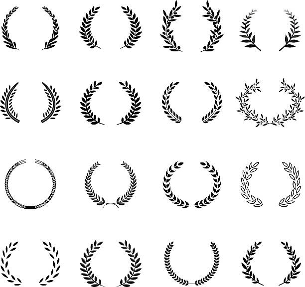 stockillustraties, clipart, cartoons en iconen met laurel wreaths vector. elements - olijfblad