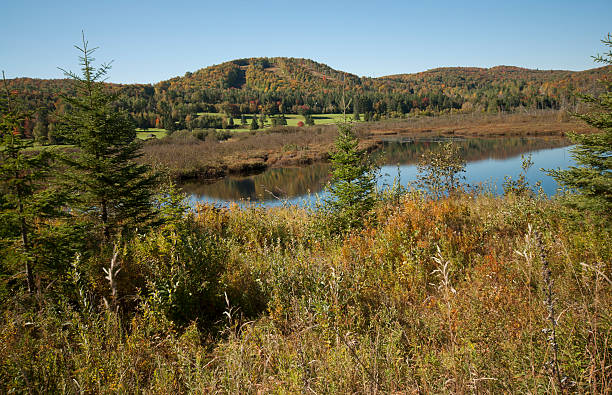 istock Lake and mountains at the beginning of fall 528955185