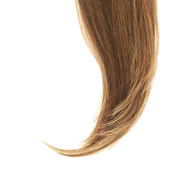 istock Hair fragment over the white 528955344