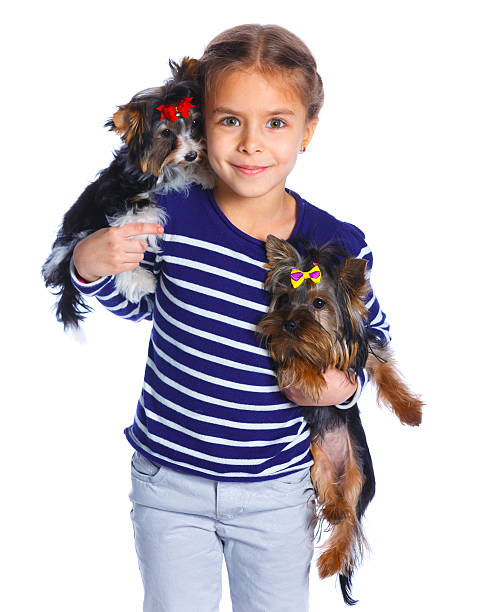 istock Girl playing with her yorkshire terriers 528956488