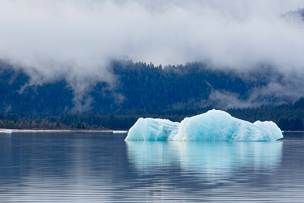istock Melting iceberg in Mendenhall Lake 528957341