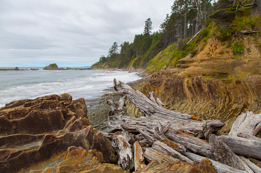 There are many beaches at Washington coast. They are nice places to spend vacation.