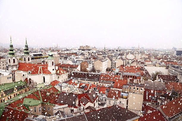 Vienna rooftops cityscape with snow