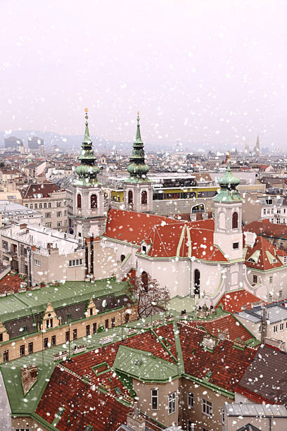 istock Vienna rooftops cityscape with snow 528957859