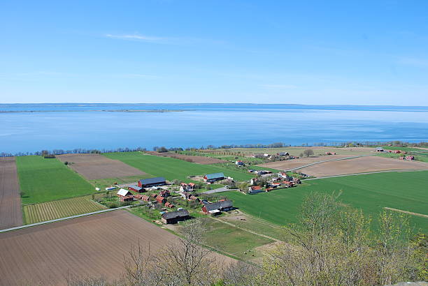 istock Swedish farmland 528957870