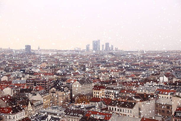 istock Vienna rooftops cityscape with snow 528957879