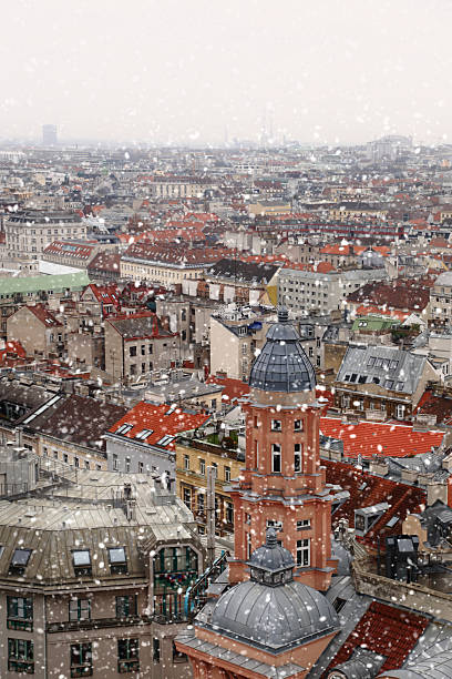 istock Vienna rooftops cityscape with snow 528957895