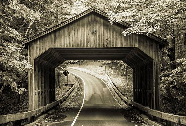 vintage ponte coperto in michigan sleeping bear dunes - country road winding road road michigan foto e immagini stock