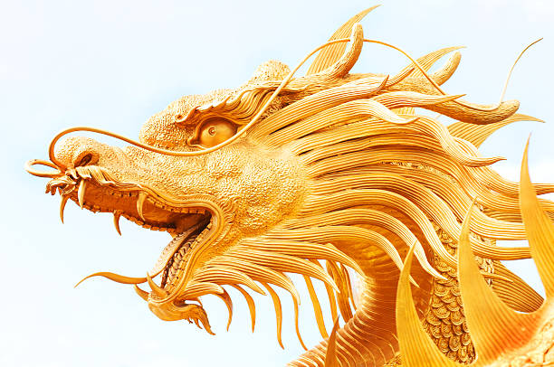 golden dragon - old senior adult buddhism art foto e immagini stock