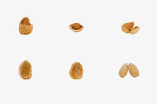Cracked almond shells with and without an almond