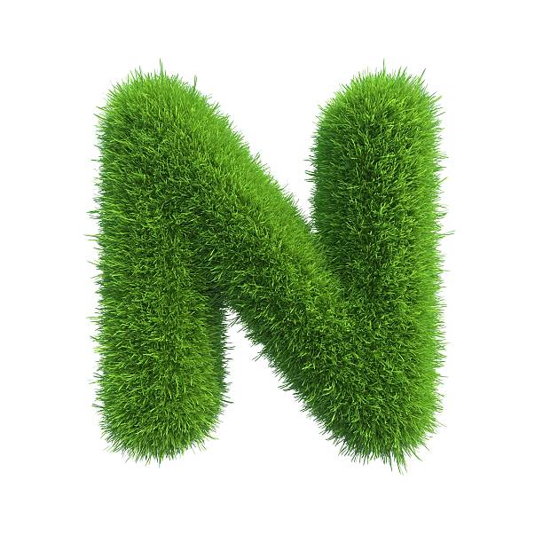 istock Letter of green fresh grass isolated on a white background. 528961671