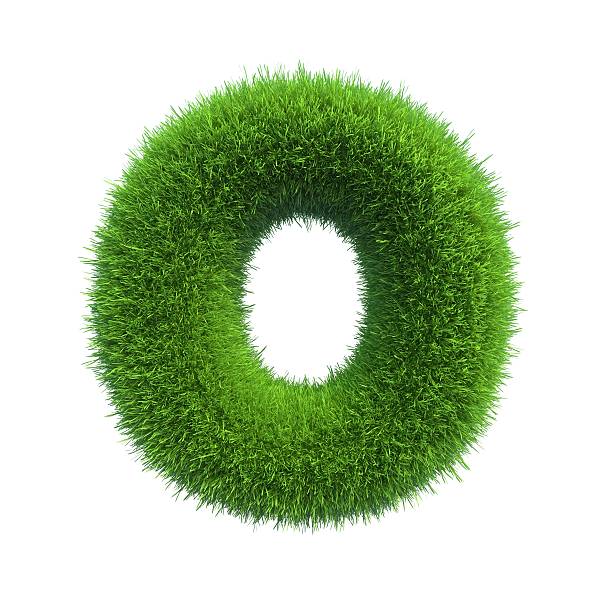 istock Letter of green fresh grass isolated on a white background. 528961695
