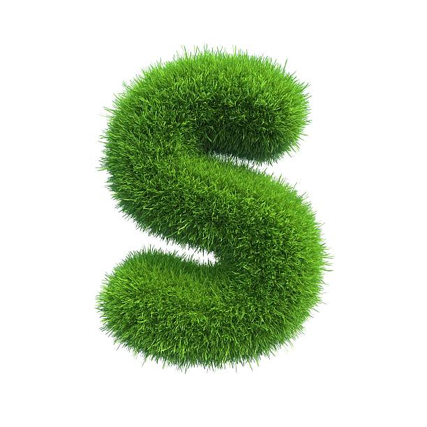 istock Letter of green fresh grass isolated on a white background. 528961797