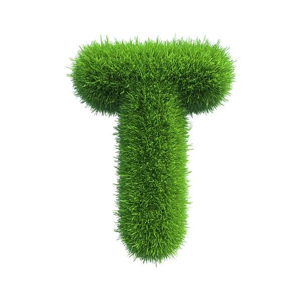 istock Letter of green fresh grass isolated on a white background. 528961817