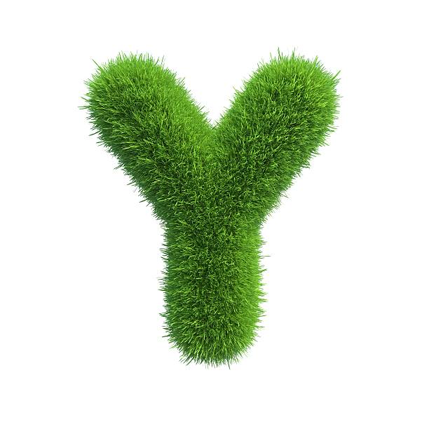 lettre de vert herbe fraîche isolé sur fond blanc. - letter y alphabet three dimensional shape green photos et images de collection