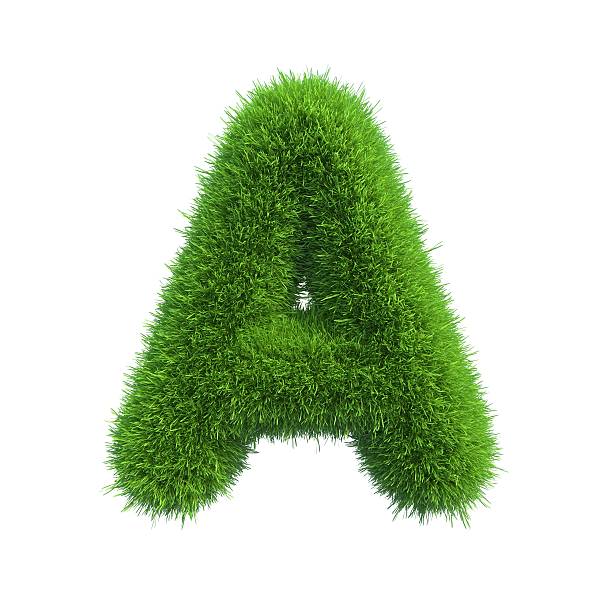 Letter of green fresh grass isolated on a white background.