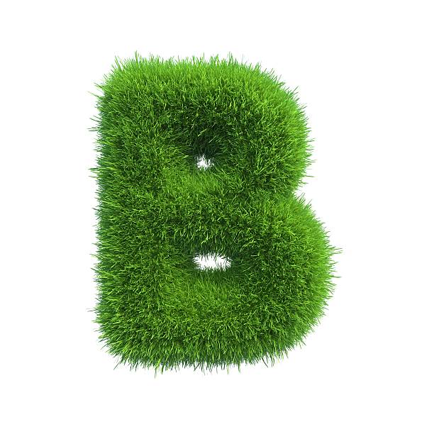 istock Letter of green fresh grass isolated on a white background. 528962065