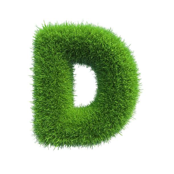 istock Letter of green fresh grass isolated on a white background. 528962099