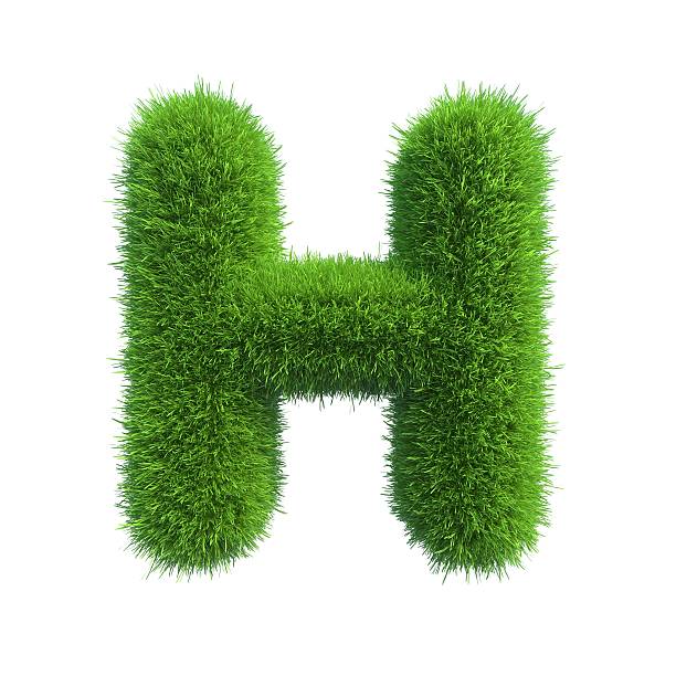 istock Letter of green fresh grass isolated on a white background. 528962171