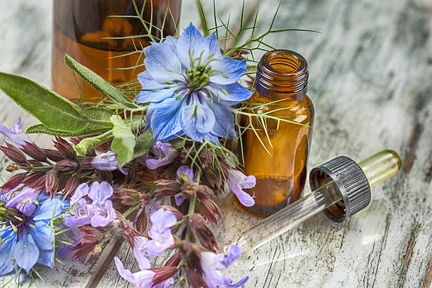 медицина на основе лекарст�венных трав - herbal medicine aromatherapy homeopathic medicine aromatherapy oil стоковые фото и изображения